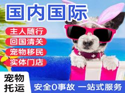 胶东空运国际宠物托运 【国